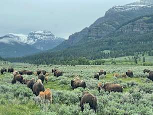 E6443965-6AE7-43B7-ADA1-1D2F46660431