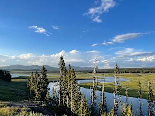IMG_8011