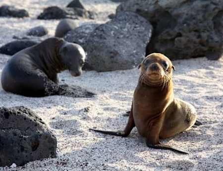 galapagos-best-time-to-visit