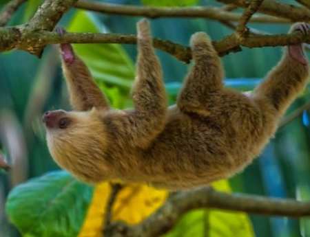 Costa-Rica-Adventure-Tour-v2