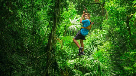 Peru-tours-Amazon-Rainforest-canopy