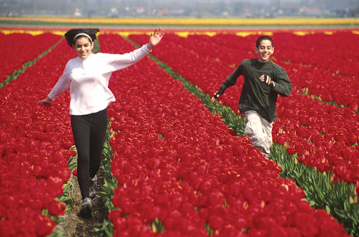 8 May-cations You Don't Want to Miss