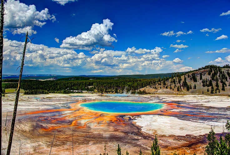 Insider Tips for Family Adventures in Yellowstone National Park