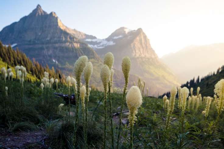 Experience the Differences Between the Rocky Mountains' Best National Parks
