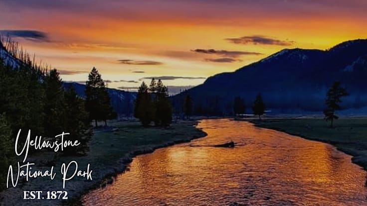 Best Time to Visit Yellowstone?