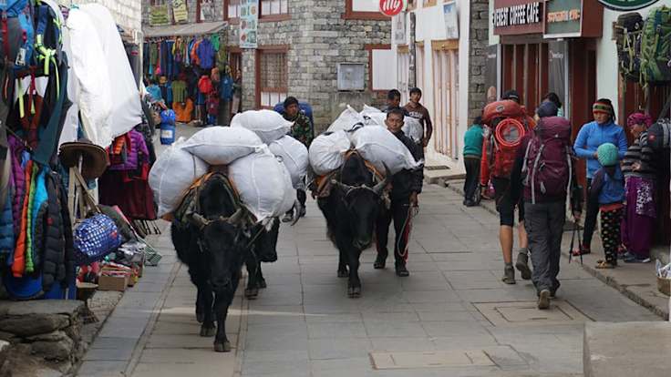 Nepal Culture and Customs