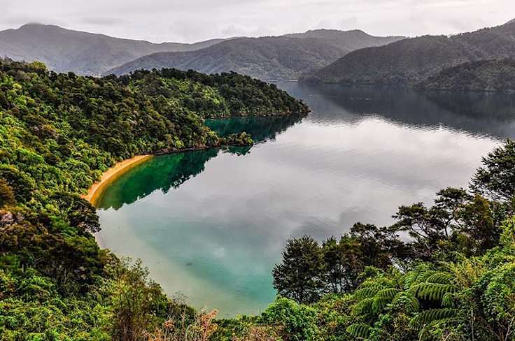 Hike the Queen Charlotte Track