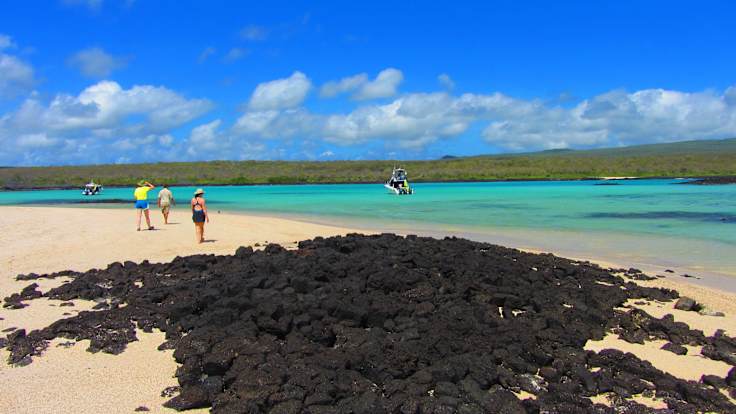 The Best Time to visit the Galapagos Islands