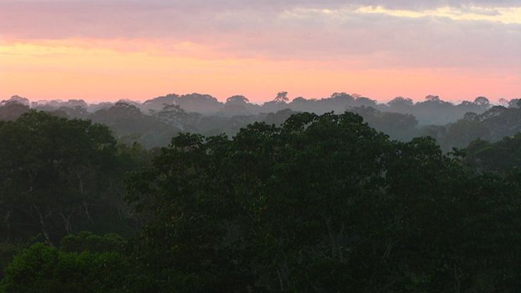 Things to know before visiting the Peruvian Amazon 