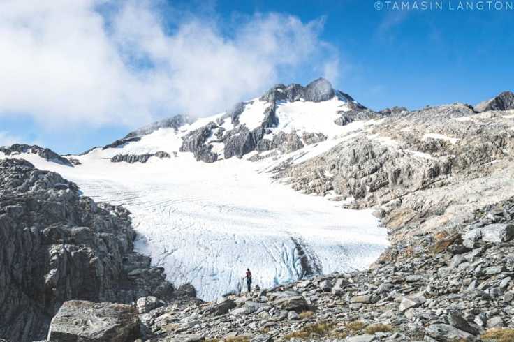 New Zealand Glaciers You Can Easily Hike To