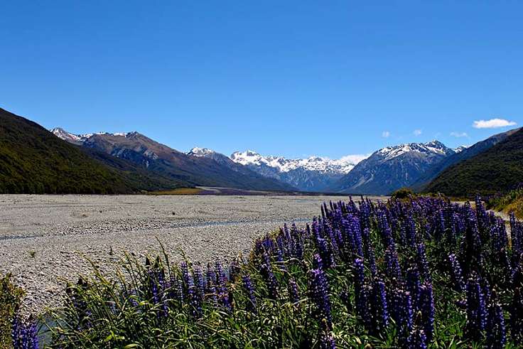Discover Arthur's Pass National Park