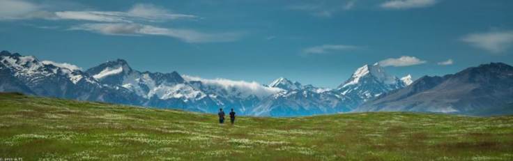 Staff Picks: Adventure Books and Movies to Stay Inspired