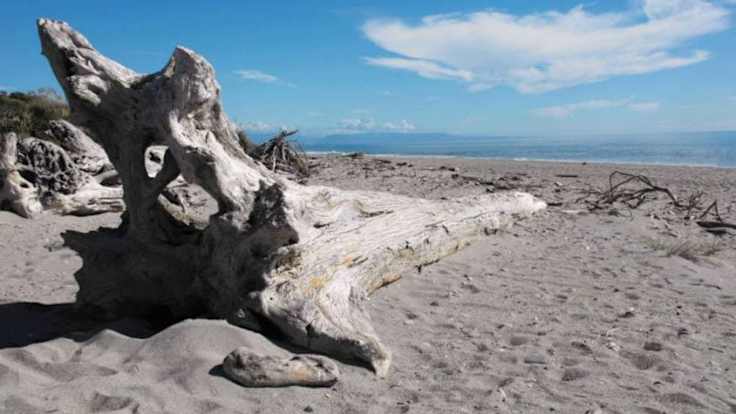 The 6 Best Beaches in New Zealand