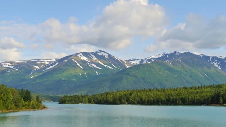 Top Reasons to Visit Kenai Fjords National Park, Alaska