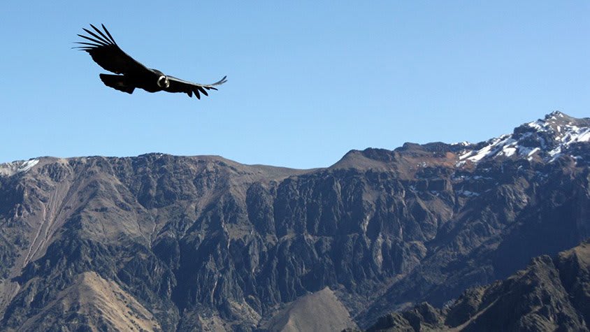 Things to do in Peru