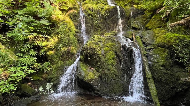 Olympic National Park