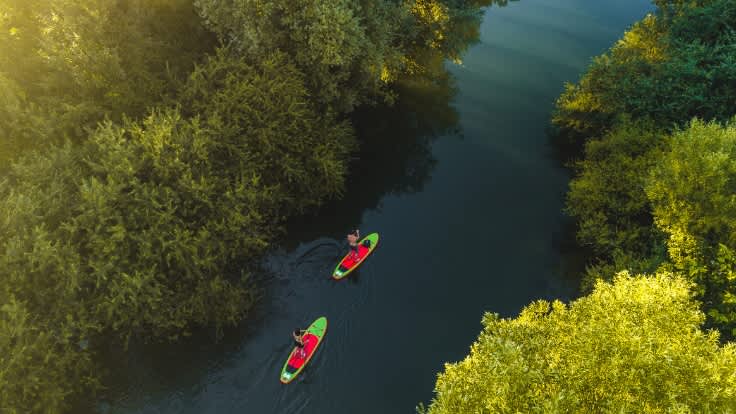 Paddleboarding in Amazon Rainforest