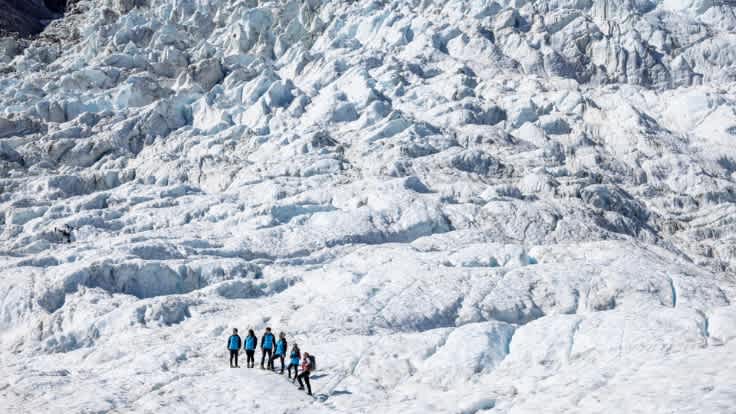 Fox Glacier | South Island. Credit Miles Holden