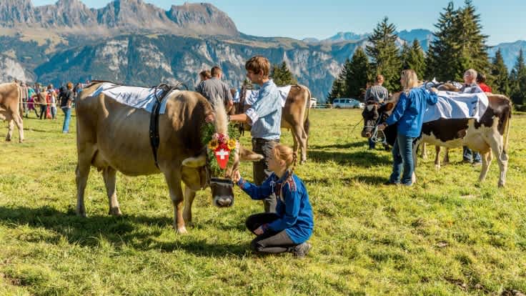 Teenagers on vacation in the Swiss Alps