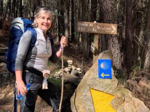 Sagra - European Guide