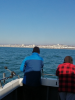 Brighton Diver - Fishing