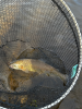 Fly fishing taster session