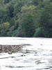 Wye Valley Treat