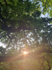 Early morning 