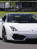 Riggers in the Gallardo