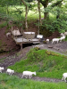 Hot tub and sheep