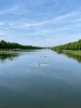 The lake at Hampton Court Palace