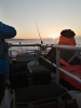 Brighton Diver - Fishing