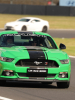 Great mustang