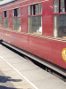 Love trains