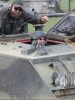 Absolutely brilliant