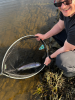 Fly fishing taster session
