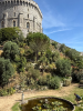 Windsor castle 