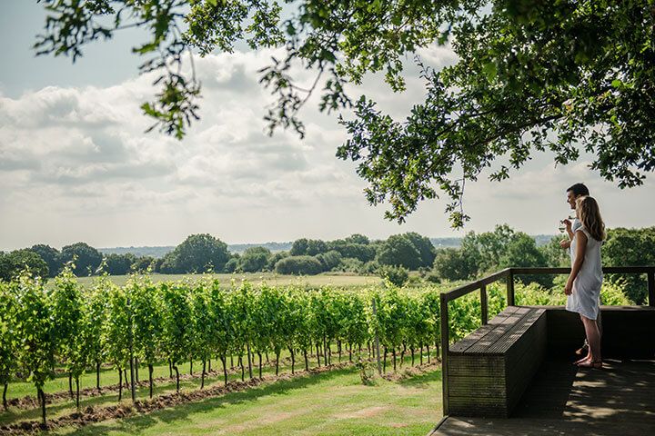 Gusbourne Estate Sparkling Wine Tasting for 2