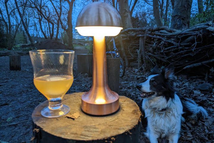 Cocktails, Folktales and Foraging For 2
