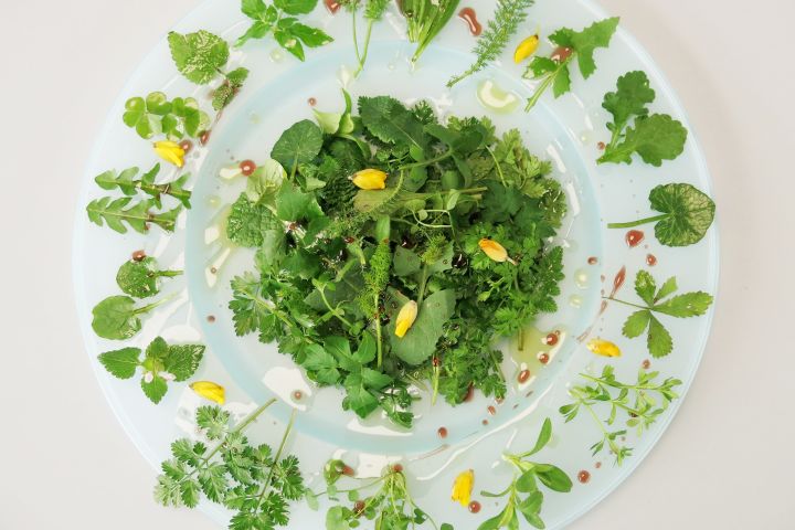 Forage London - The Edible City
