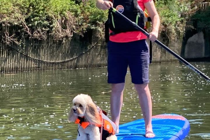 Stand Up Paddle Boarding in London