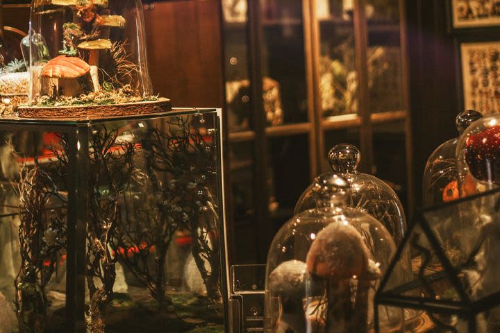 Magical Fairy Garden & Afternoon Tea Experience for Two