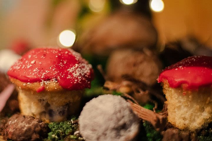 Magical Fairy Garden & Afternoon Tea Experience for Two