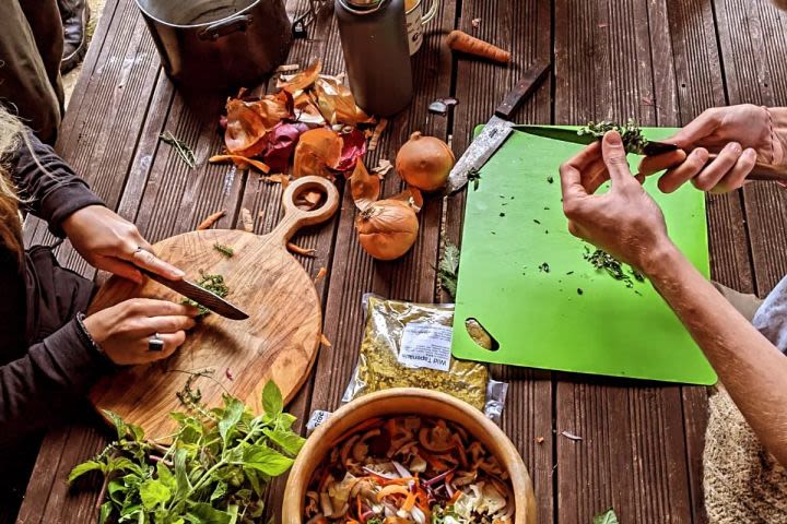 Foraging Day with Wild Lunch