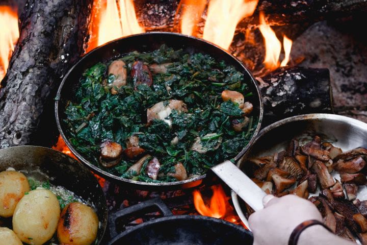 Foraging Day with Wild Lunch