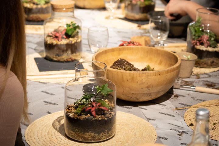 Botanical Boys Slim Cork Terrarium Masterclass