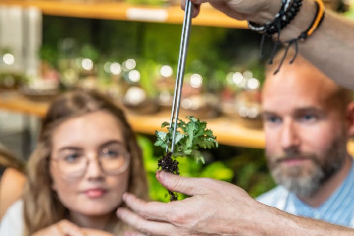 Botanical Boys Slim Cork Terrarium Masterclass