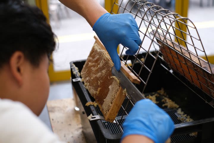 Jar your own Honey