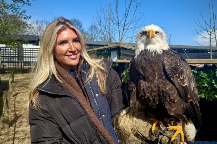 Elite Falconry Experience