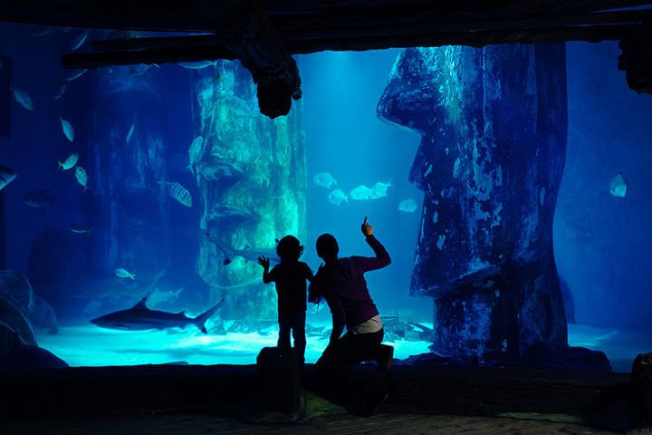 Sealife London Aquarium & 2-Course meal at The Hard Rock Cafe for two